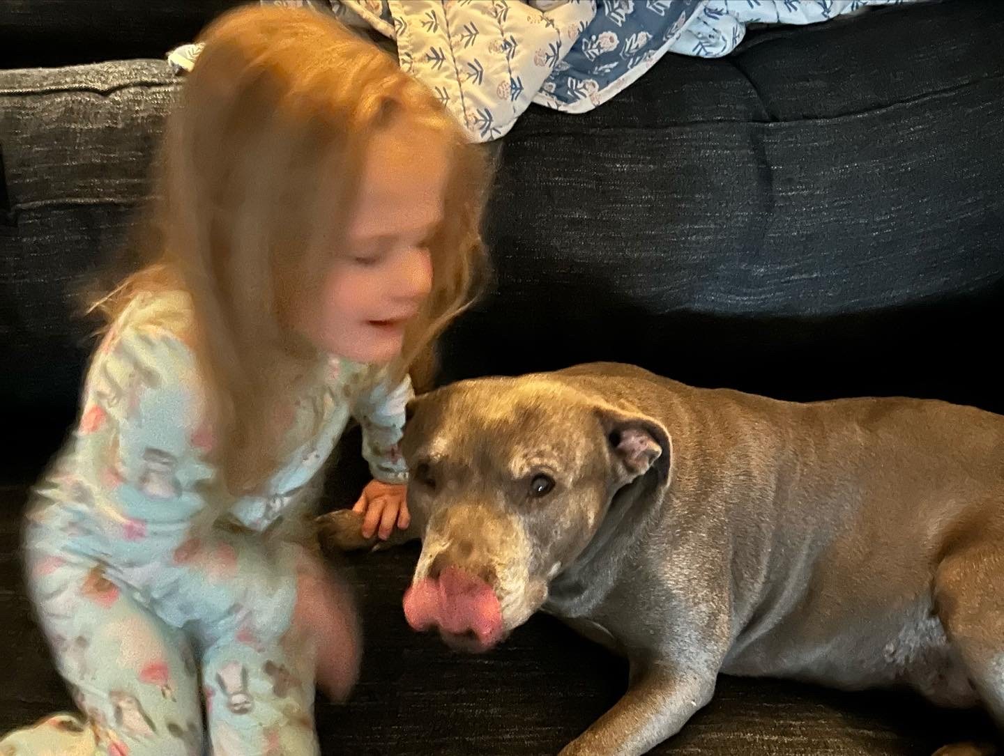 Daphne with the family dog